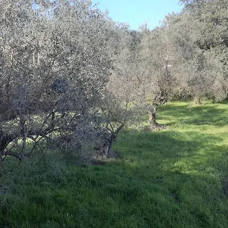 Cascina Delle Rose Апартаменты Сарцана