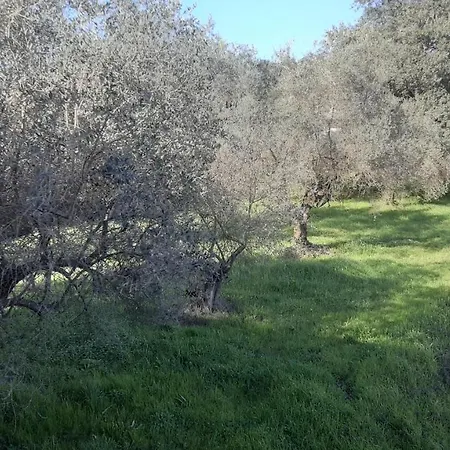 Cascina Delle Rose Apartamento Sarzana