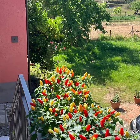 Cascina Delle Rose Апартаменты *