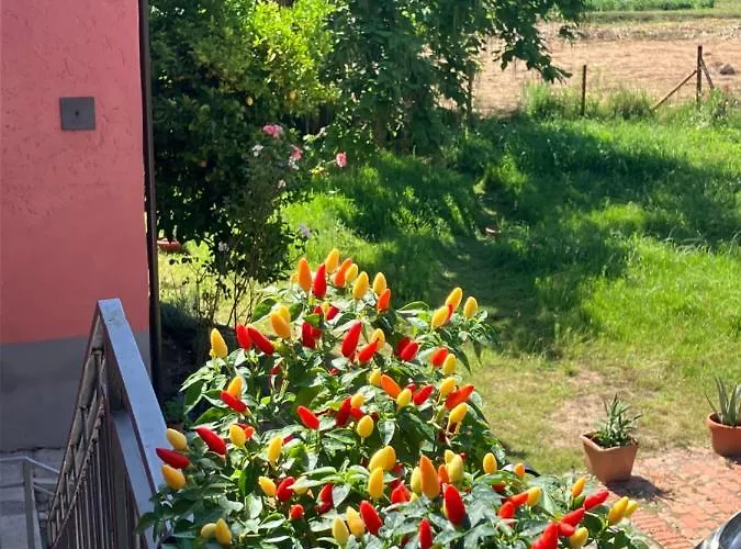 Cascina Delle Rose Apartman *
