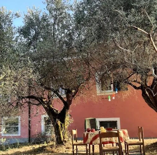 公寓 Cascina Delle Rose *