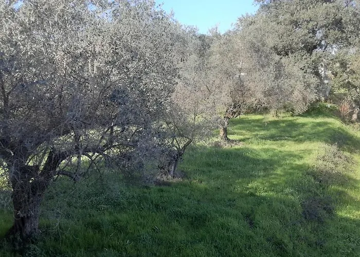 Cascina Delle Rose 公寓 萨尔扎纳